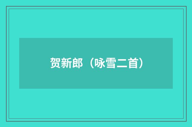 贺新郎（咏雪二首）