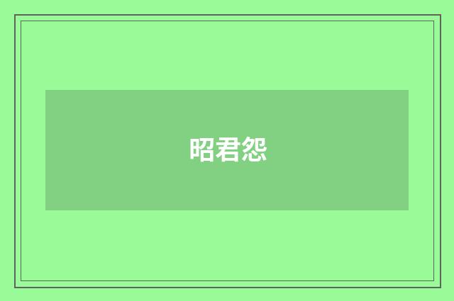 昭君怨