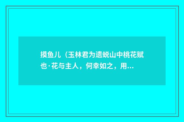 摸鱼儿（玉林君为遗蜕山中桃花赋也·花与主人，何幸如之，用韵和谢）