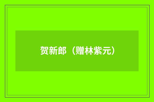 贺新郎（赠林紫元）