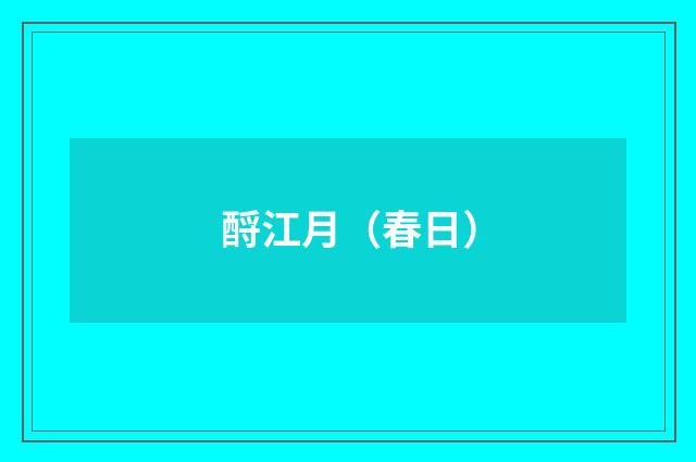 酹江月（春日）