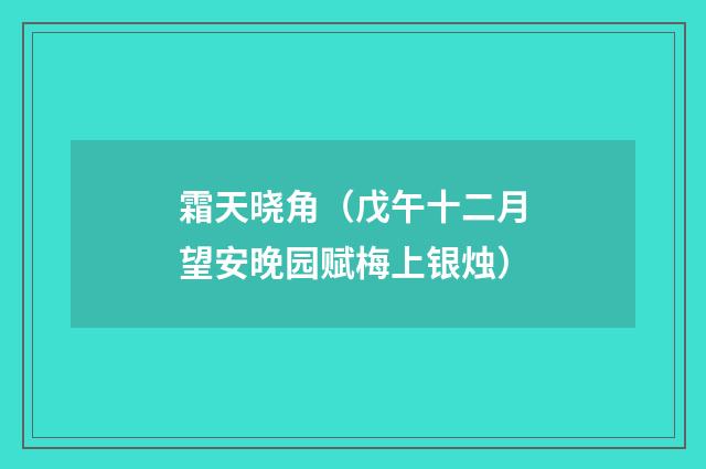 霜天晓角（戊午十二月望安晚园赋梅上银烛）