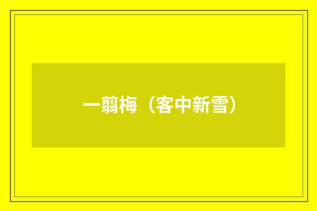 一翦梅（客中新雪）