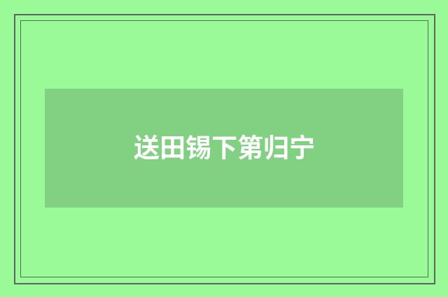 送田锡下第归宁