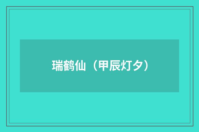 瑞鹤仙（甲辰灯夕）