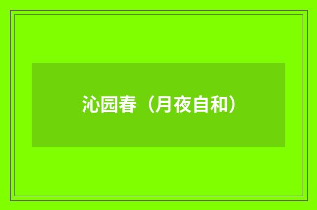 沁园春（月夜自和）