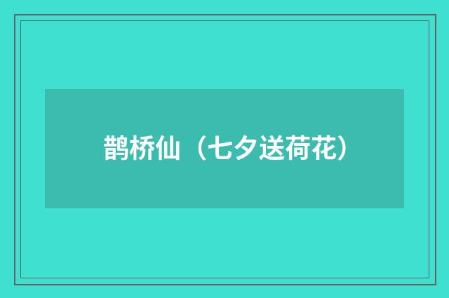 鹊桥仙（七夕送荷花）