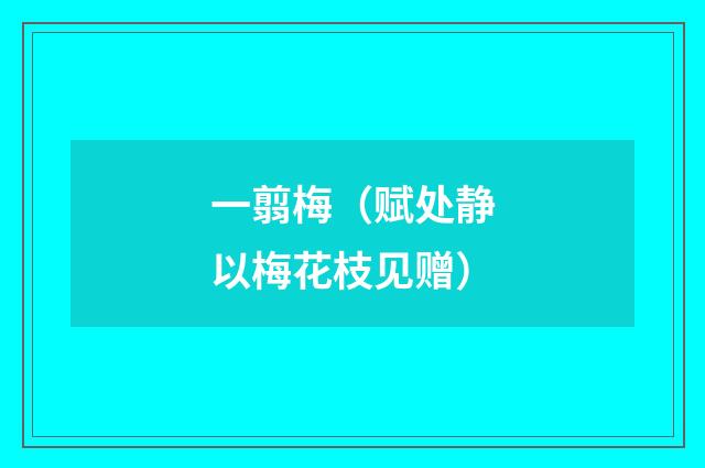 一翦梅（赋处静以梅花枝见赠）