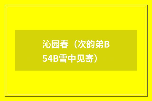 沁园春（次韵弟B54B雪中见寄）