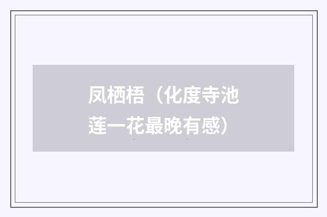 凤栖梧（化度寺池莲一花最晚有感）