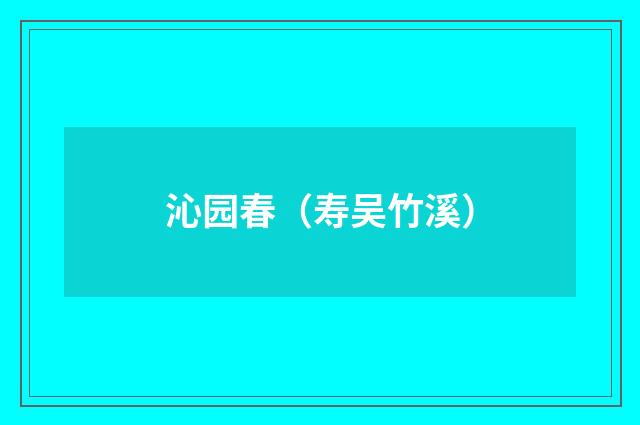 沁园春（寿吴竹溪）