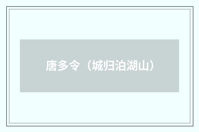 唐多令（城归泊湖山）