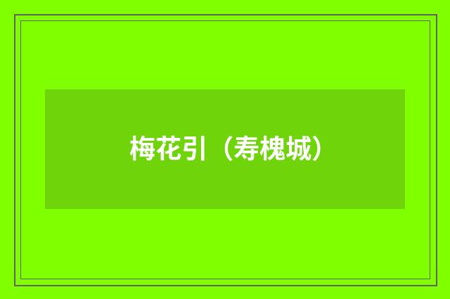 梅花引（寿槐城）