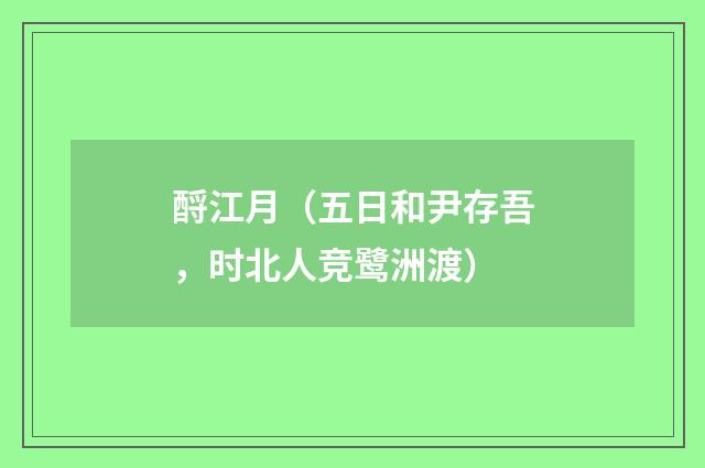 酹江月（五日和尹存吾，时北人竞鹭洲渡）