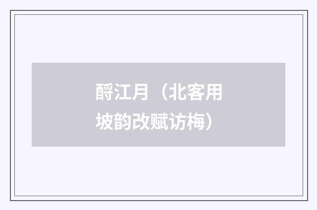 酹江月（北客用坡韵改赋访梅）