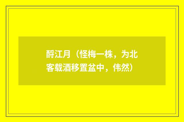 酹江月（怪梅一株，为北客载酒移置盆中，伟然）