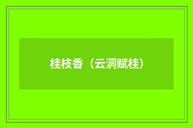 桂枝香（云洞赋桂）