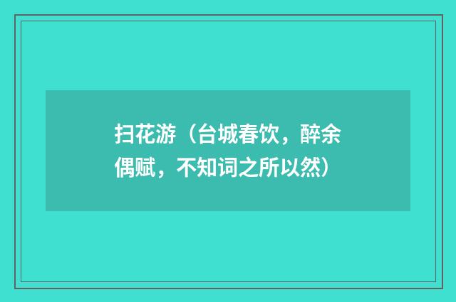 扫花游（台城春饮，醉余偶赋，不知词之所以然）