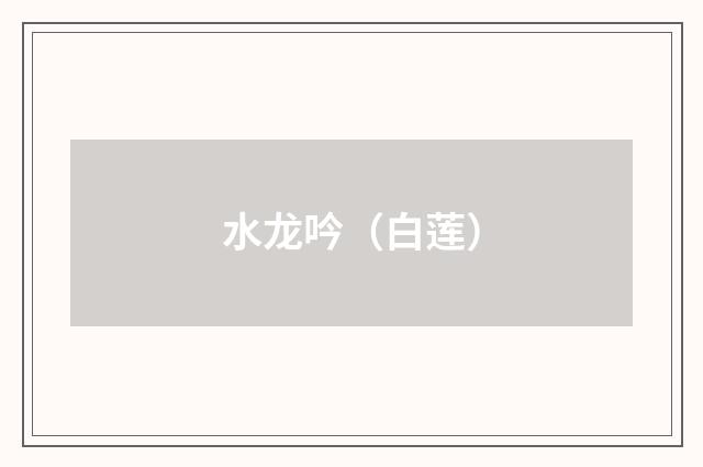 水龙吟（白莲）
