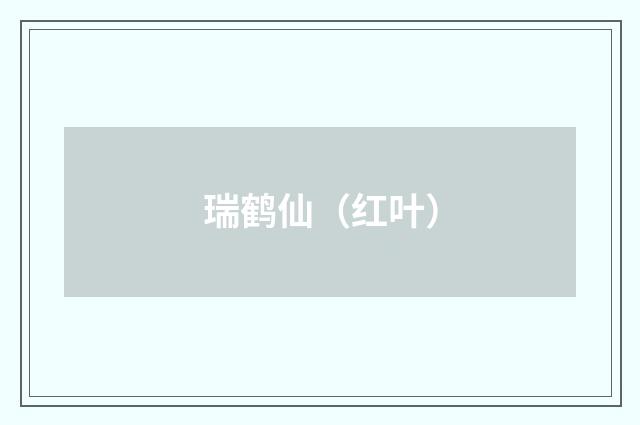 瑞鹤仙（红叶）