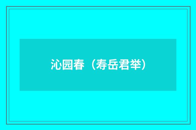 沁园春（寿岳君举）