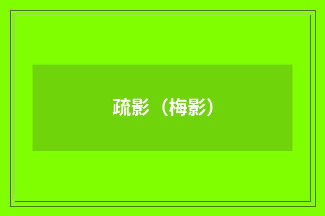 疏影（梅影）