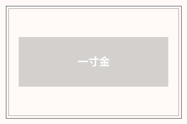 一寸金
