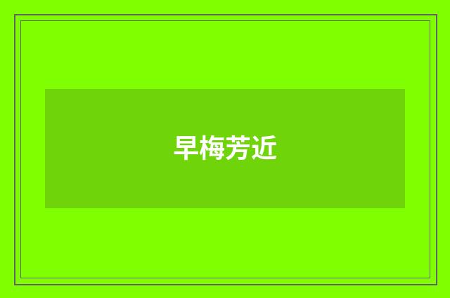 早梅芳近