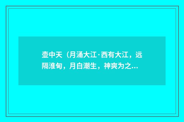 壶中天（月涌大江·西有大江，远隔淮甸，月白潮生，神爽为之飞越·）