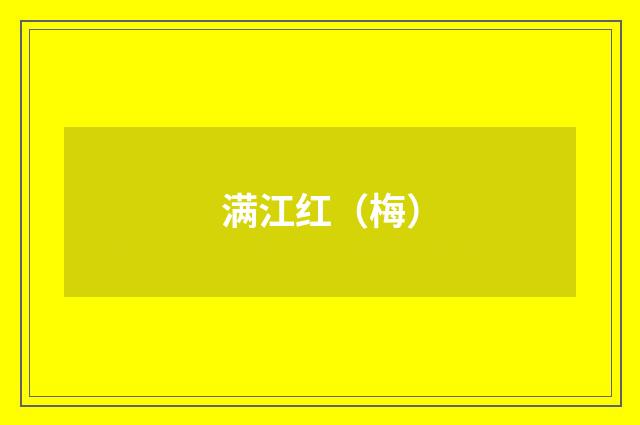 满江红（梅）