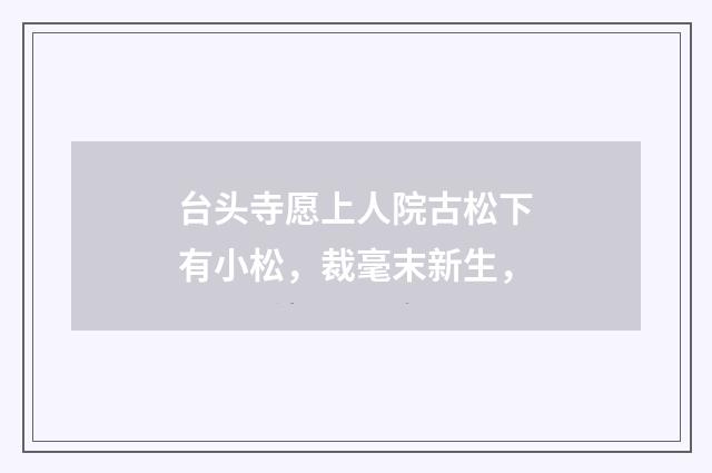 台头寺愿上人院古松下有小松，裁毫末新生，