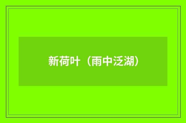新荷叶（雨中泛湖）