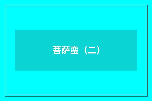 菩萨蛮（二）