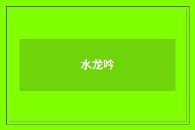 水龙吟