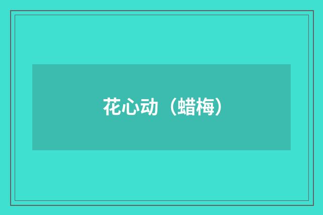 花心动（蜡梅）