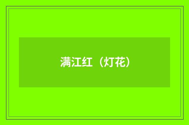 满江红（灯花）