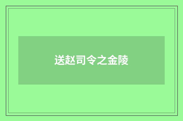 送赵司令之金陵