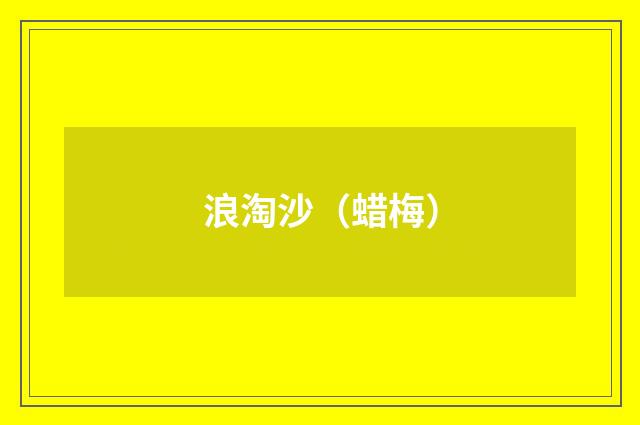 浪淘沙（蜡梅）
