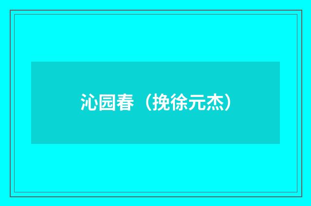 沁园春（挽徐元杰）
