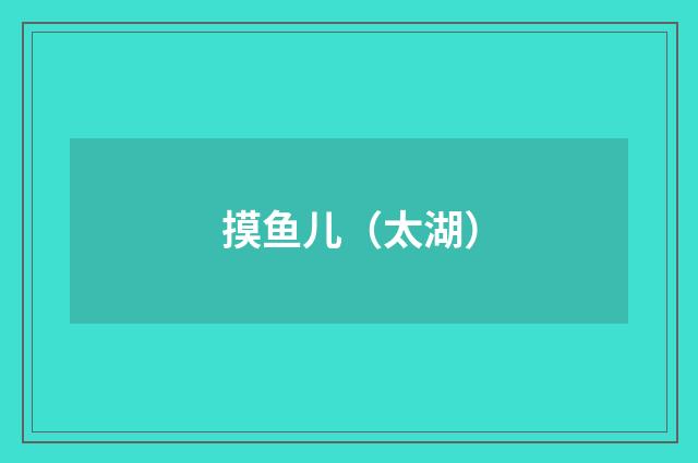 摸鱼儿（太湖）
