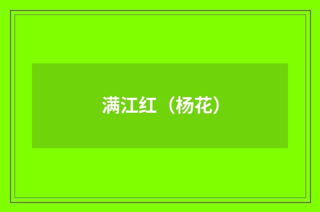 满江红（杨花）