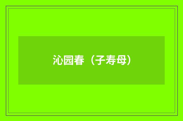 沁园春（子寿母）