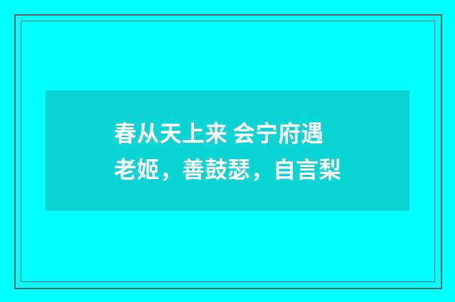春从天上来 会宁府遇老姬，善鼓瑟，自言梨