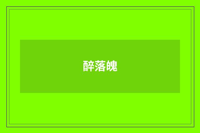 醉落魄