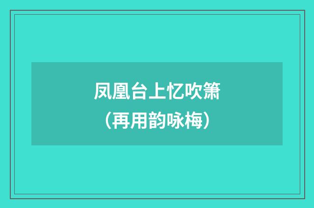 凤凰台上忆吹箫（再用韵咏梅）