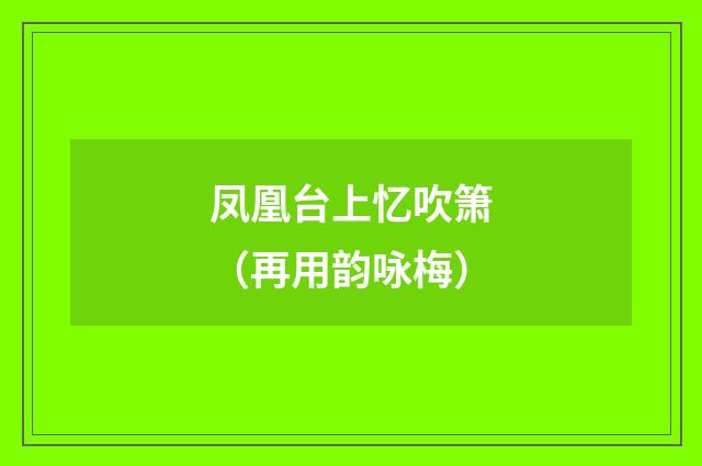 凤凰台上忆吹箫（再用韵咏梅）
