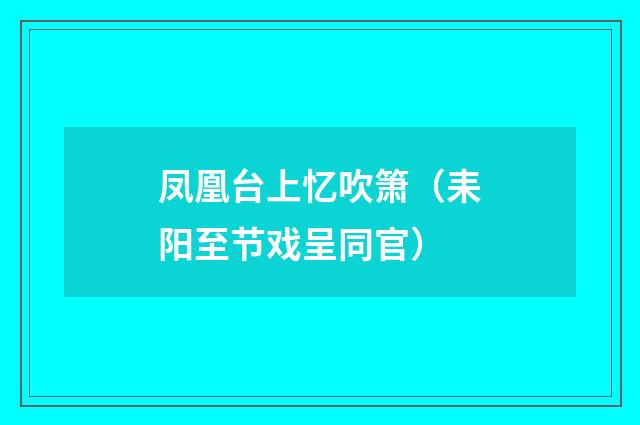 凤凰台上忆吹箫（耒阳至节戏呈同官）