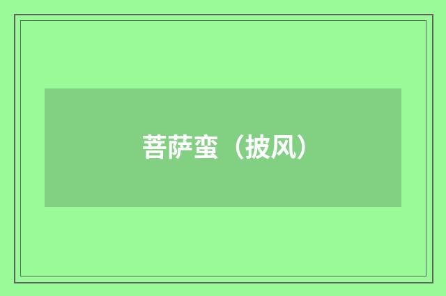 菩萨蛮（披风）