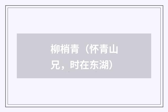 柳梢青（怀青山兄，时在东湖）