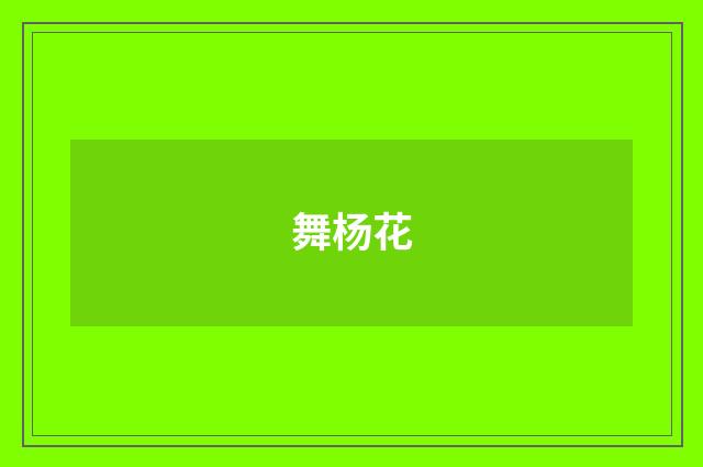 舞杨花
